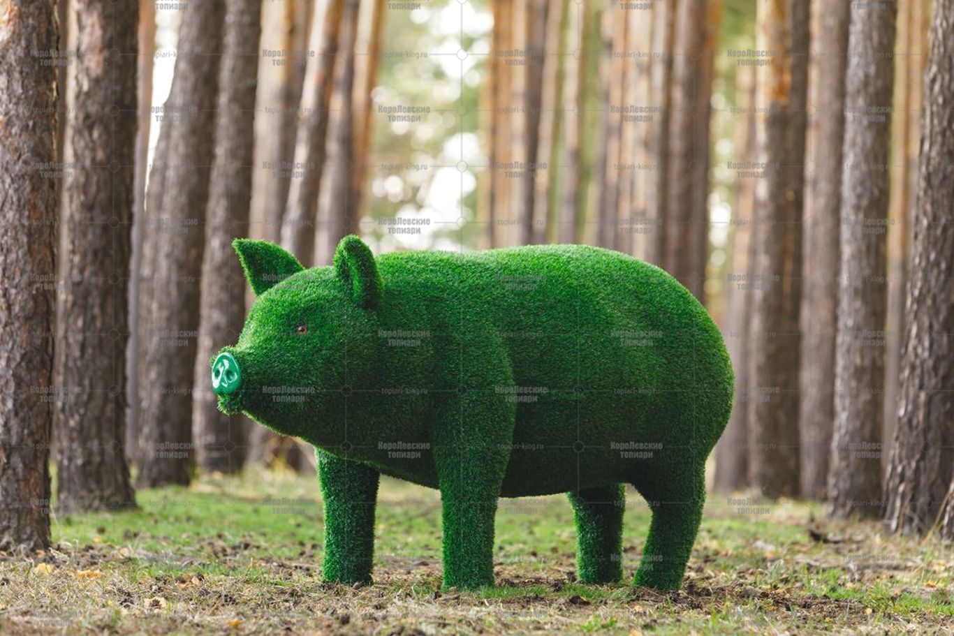 Топиари свинка мама — газон Eco Топиари свинка мама - газон Eco