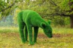 Топиари композиция олени, олень и две самочки - газон Eco Green