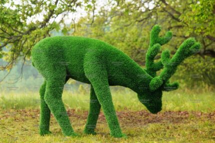 Топиари композиция олени, олень и две самочки - газон Eco Green