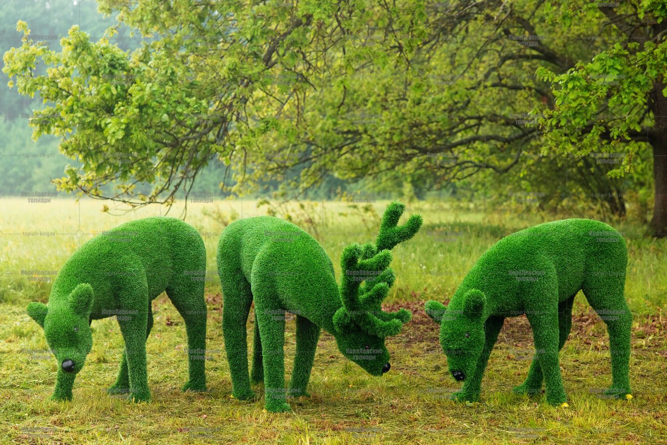 Топиари композиция олени, олень и две самочки — газон Eco Green Топиари композиция олени, олень и две самочки - газон Eco Green