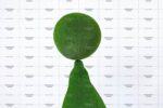 Топиари морской лев с мячом, модель 2 - газон Eco