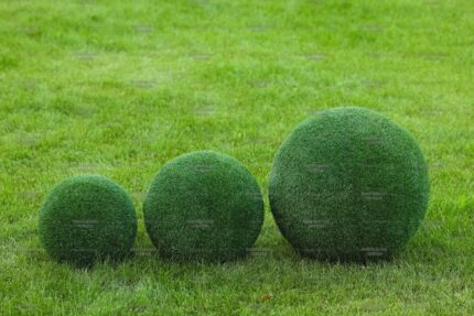 Топиари шар в виде куста туи, d=40 см - газон Eco