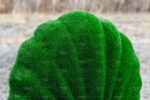 Топиари ракушка, h=135 см - газон Eco Green