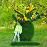 Топиари композиция бабочка на яблоке Гренни - газон Eco Green