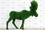 Топиари лось - газон Deluxe Green