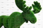 Топиари лось - газон Deluxe Green