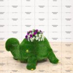 Топиари черепаха Ида с кашпо, h=60 см - газон Premium